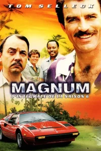 Magnum - Saison 5